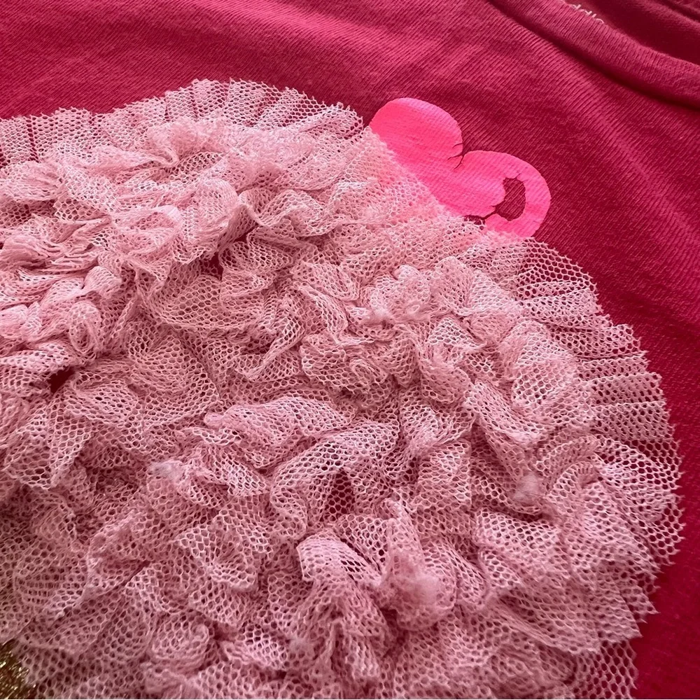 Baby Gap Cupcake Embroidered Tulle Longsleeve Shirt Size 2T